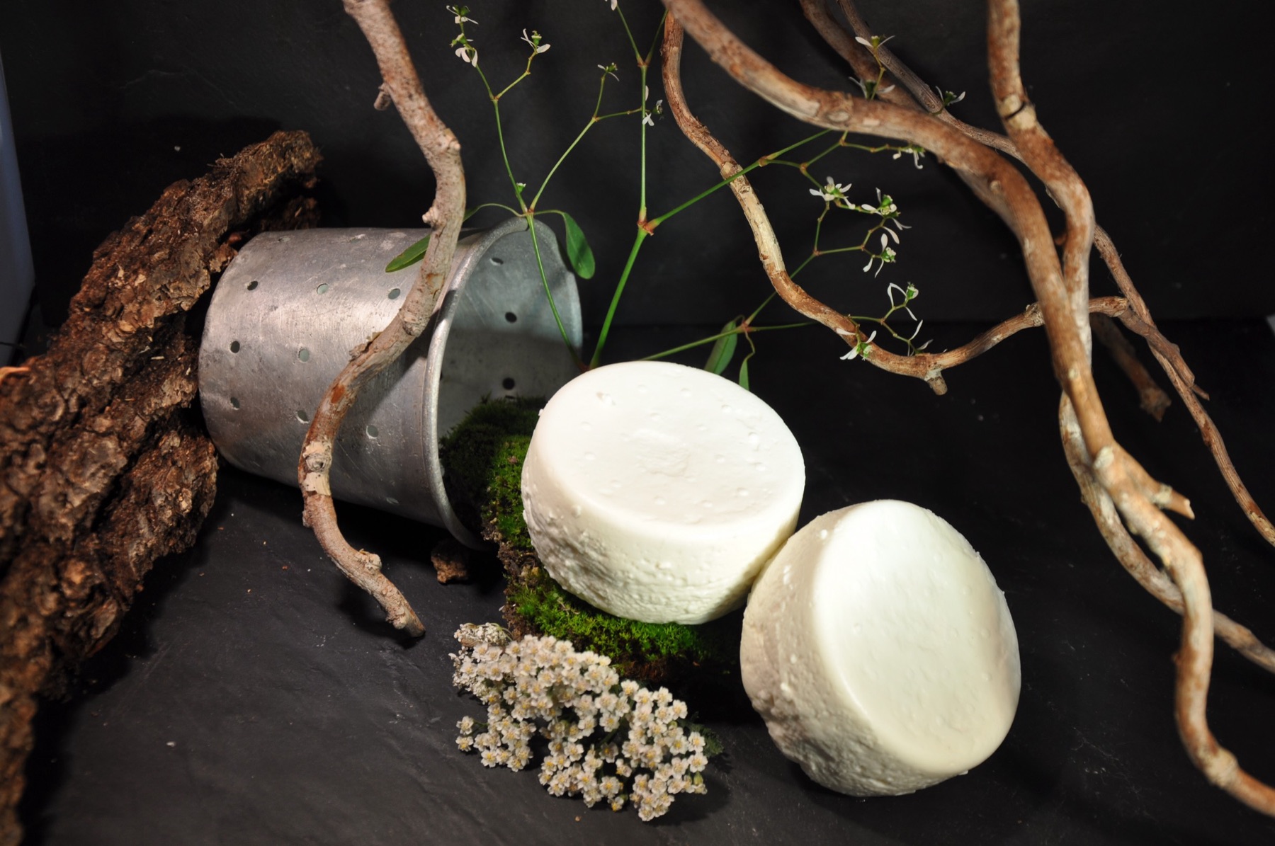 Fromages de chèvre frais sur ardoise, faisselle en zinc et fleurs